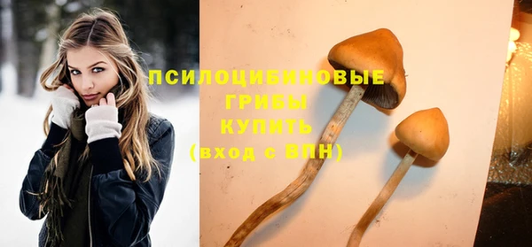прущая мука Алексин