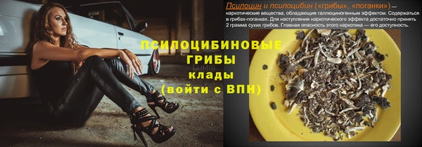 спайс Алзамай