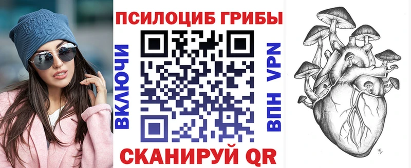 мориарти Telegram  Кашира  Псилоцибиновые грибы Cubensis  продажа наркотиков 